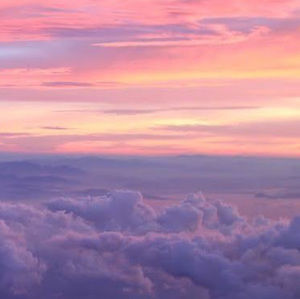 Meet your Posher, Ally